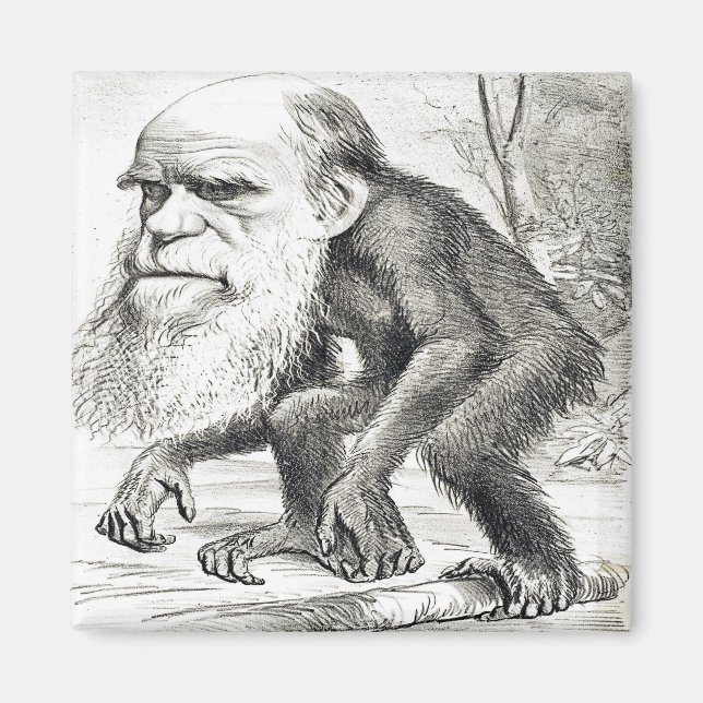 Íman Cartoon Editorial De Charles Darwin 1871 (Frente)