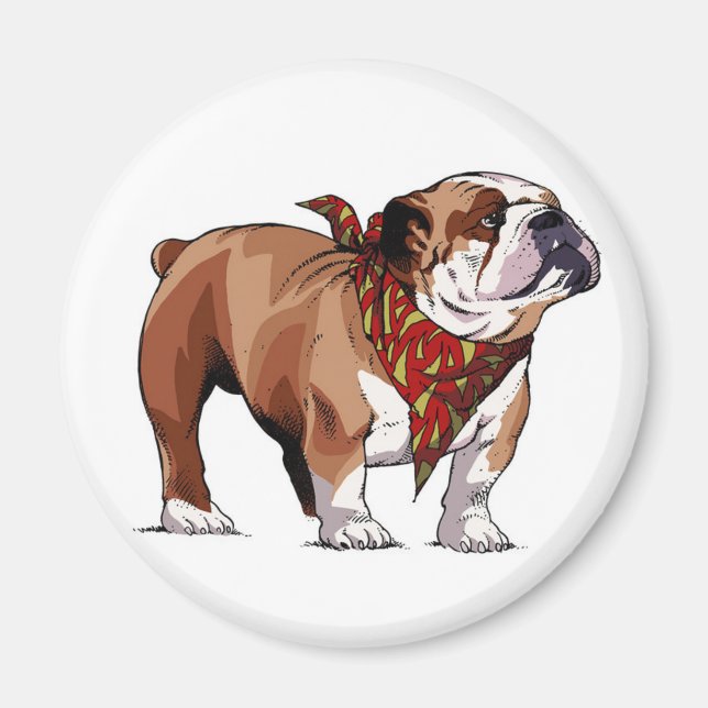 Íman Cartoon English Bulldog Puppy Dog Magnet (Frente)
