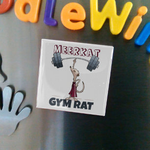 Íman Cartoon Engraçado Meerkat Gym Rat Engraçado