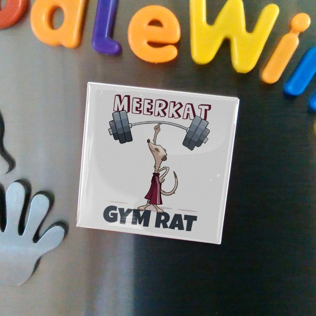 Íman Cartoon Engraçado Meerkat Gym Rat Engraçado (Criador carregado)