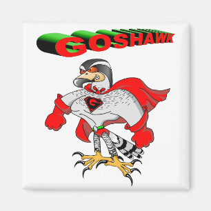 Íman Cartoon Goshawk
