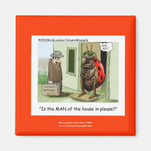 Íman Cartoon Ladybug Engraçado No Quality Novelty Magn