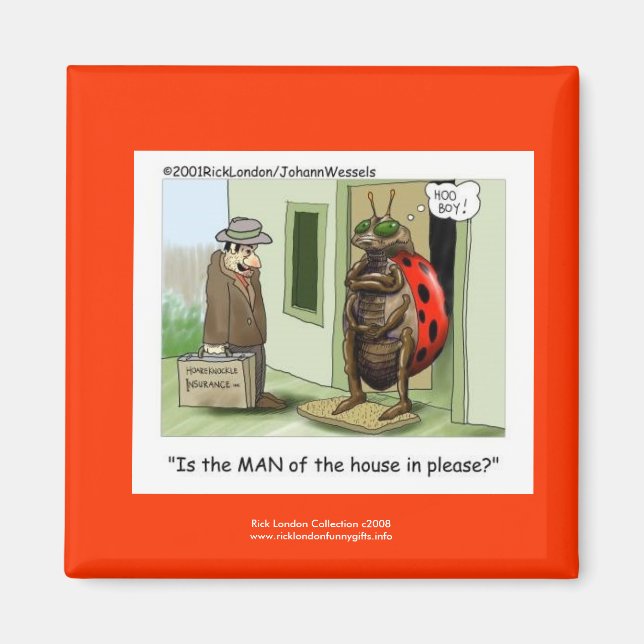 Íman Cartoon Ladybug Engraçado No Quality Novelty Magne (Frente)