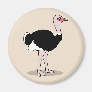 Íman Cartoon Ostrich