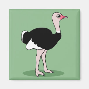 Íman Cartoon Ostrich