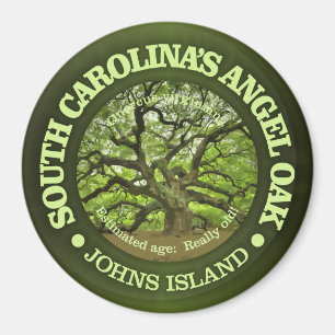 Íman Carvalho do anjo