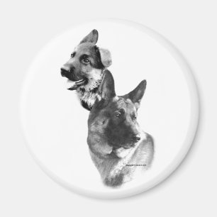 Íman Carvão german shepherd 2