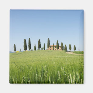 Íman Casa da quinta em Toscânia com ímã dos cipreste