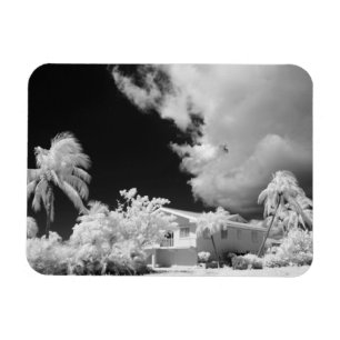 Íman Casa das Florida Keys e suas palmeiras, EUA.