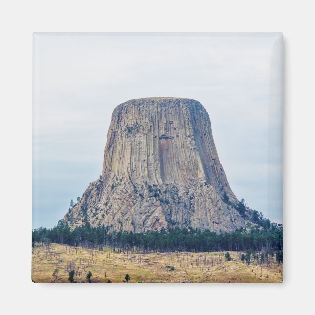 Íman Casa de um Urso (Frente)