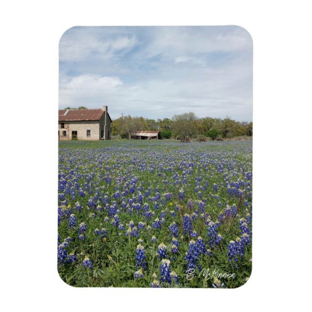 Íman Casa Famosa do Texas com Bluebonnets (Vertical)