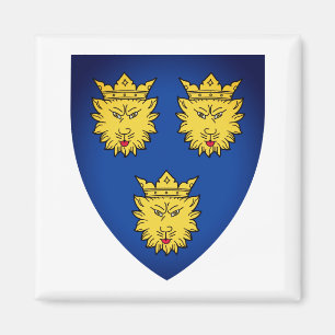 Íman Casaco de Armas da Dalmácia, Croácia, Magnet