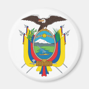 Íman Casaco do Equador de Magnetes de Armas