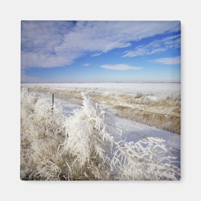 Íman Casacos do Hoarfrost torcendo e entrelaçamento pró (Frente)