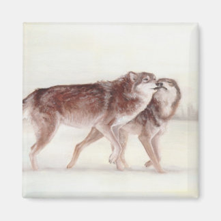 Íman Casal de lobo caminhando
