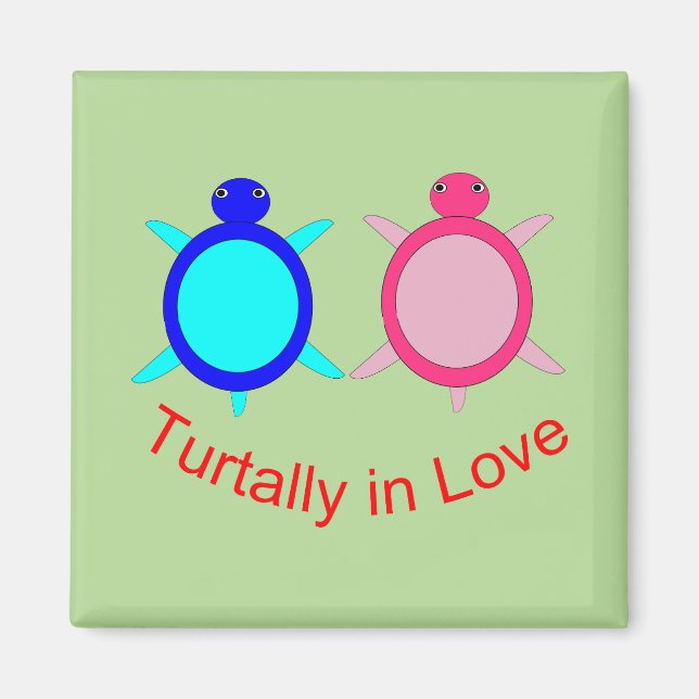 Íman Casal de Tartaruga (Frente)