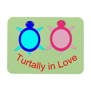Íman Casal de Tartaruga