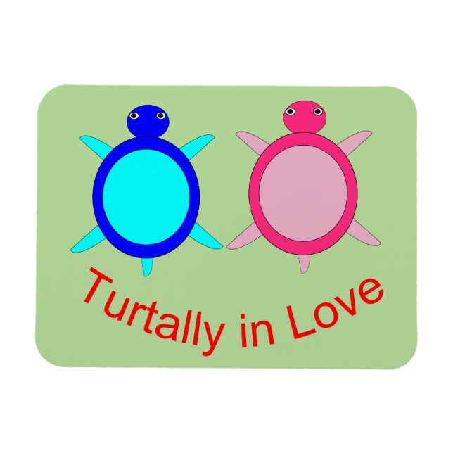 Íman Casal de Tartaruga (Horizontal)