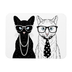 Íman Casal do gato