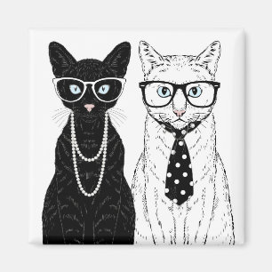 Íman Casal do gato