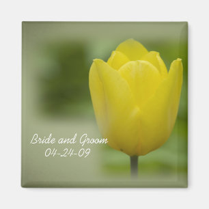 Íman Casamento amarelo do primavera da tulipa