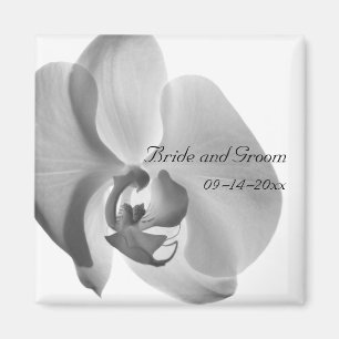 Íman Casamento branco da orquídea
