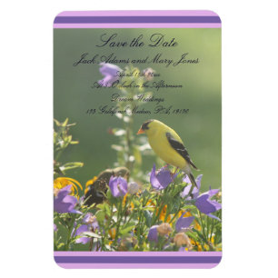 Íman Casamento de Jardim Primavera Goldfinch