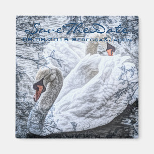 Íman casamento do cisne branco do inverno romântico