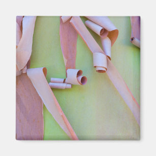 Íman Casca de Árvore Madrone Abstrata
