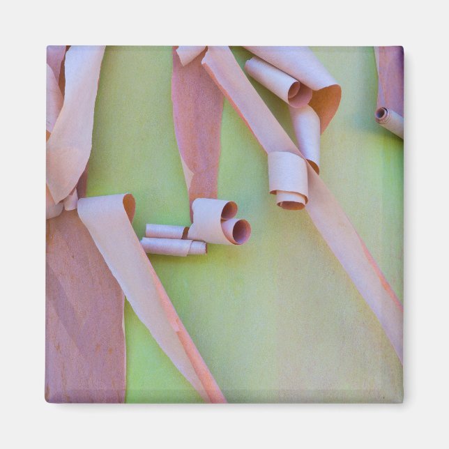 Íman Casca de Árvore Madrone Abstrata (Frente)