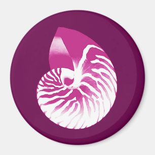 Íman Casca de Nautilus - beringela roxa e branca