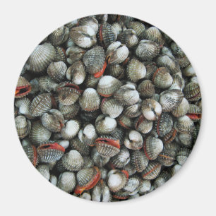 Íman Cascas de Cockle Sanguíneo