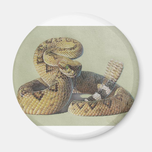 Íman Cascavel (Frente)