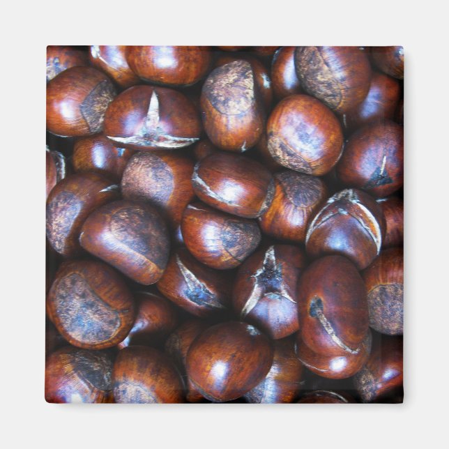 Íman Castanhas (Frente)