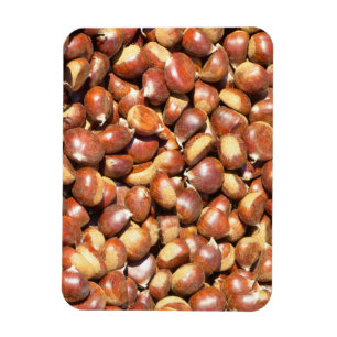 Íman castanhas-211079 castanhas-de-castanha-doce delici