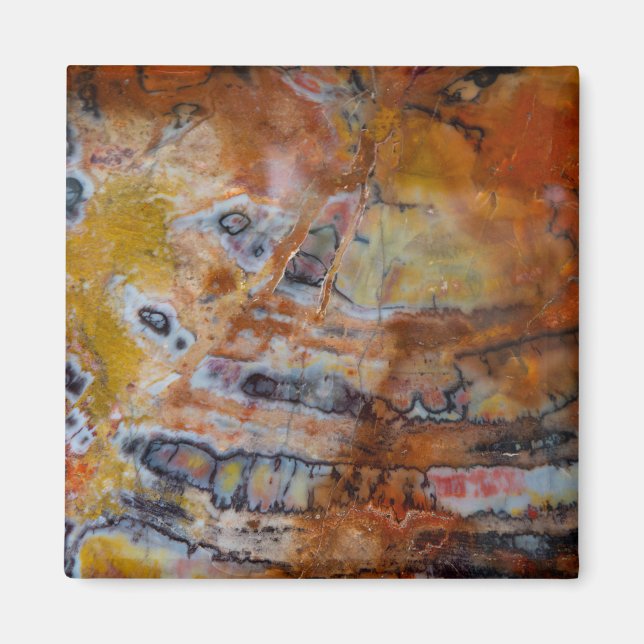 Íman Castanho de Madeira Petrificado (Frente)