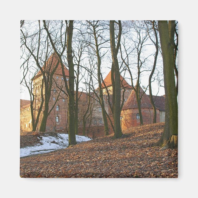 Íman Castelo de Ordem Teutônica Neidenburg - Magnet (Frente)