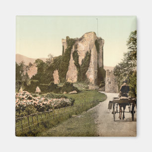 Íman Castelo II de Ross, Killarney, Kerry do condado