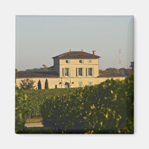 Íman Castelo Lafleur Petrus e vinha, em Pomerol,