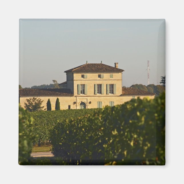 Íman Castelo Lafleur Petrus e vinha, em Pomerol, (Frente)