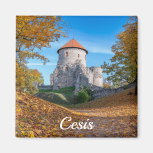 Íman Castelo medieval cercado por floresta