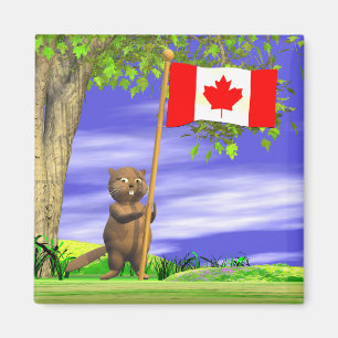 Íman Castor e bandeira canadenses