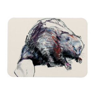 Íman Castor Fiber 2001