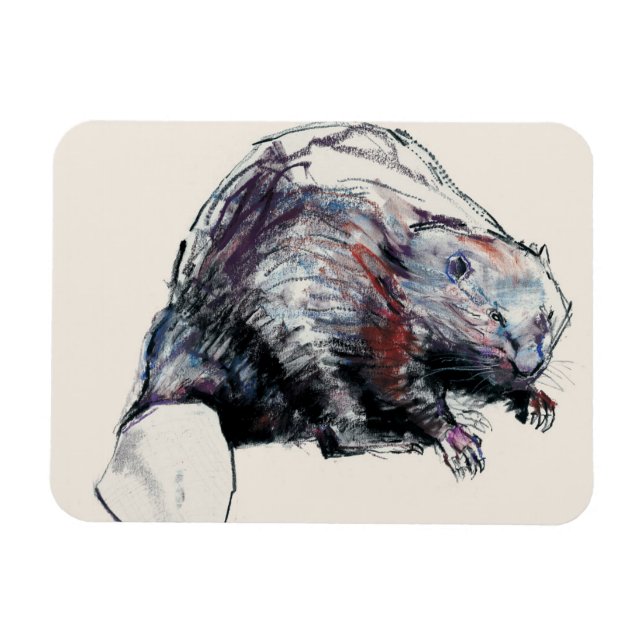 Íman Castor Fiber 2001 (Horizontal)