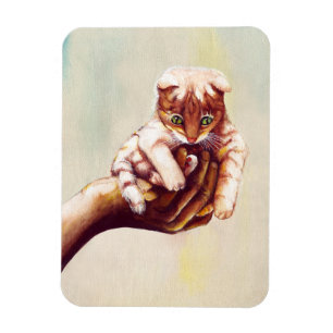 ÍMAN CAT À DISPOSIÇÃO