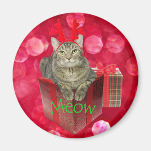Íman Cat Esperando por Papais noeis