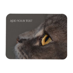 Íman Cat Eye-Macro por Shirley Taylor