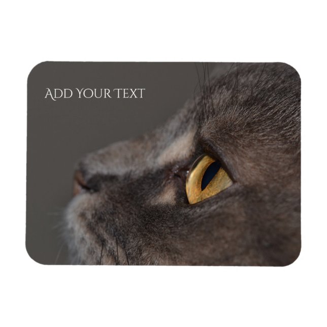 Íman Cat Eye-Macro por Shirley Taylor (Horizontal)