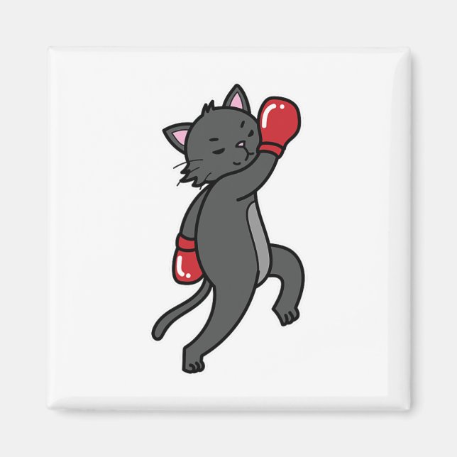 Íman Cat faz boxing (Frente)