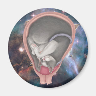 Íman Cat Fetus